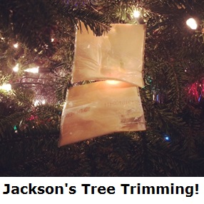 Jackson's Tree Trimming, autism house, autisic kids, autism spectrum disorder, ASD