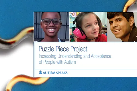 Puzzle Piece Project cropped cover	