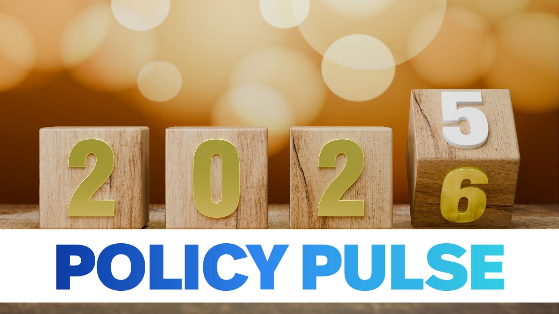 Policy Pulse | 2025 advocacy wrapped | Autism Speaks