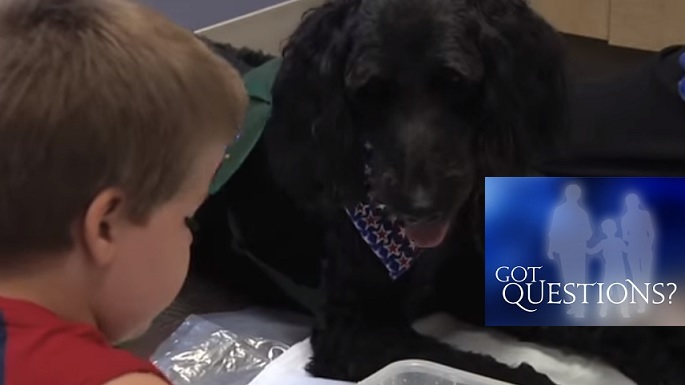 How to Decide Between Autism Service Dogs or Therapy Dogs | Autism Speaks