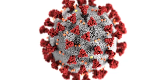 Illustration of virus