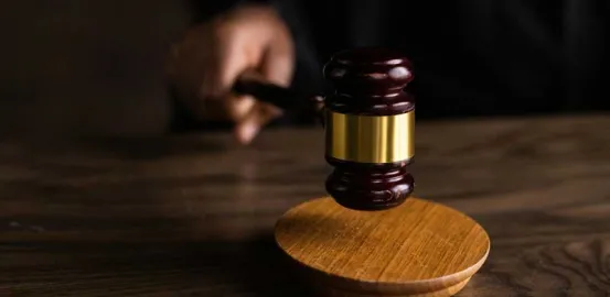 judge holding a Brown Wooden Gavel