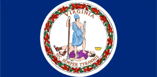 Virginia state flag