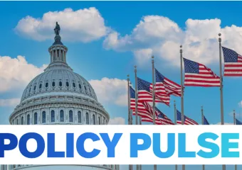 blue sky with clouds behind DC Capitol dome and ten American flags positioned in semi circle on the right