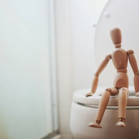 Wooden puppet sitting on a toilet to help with potty training