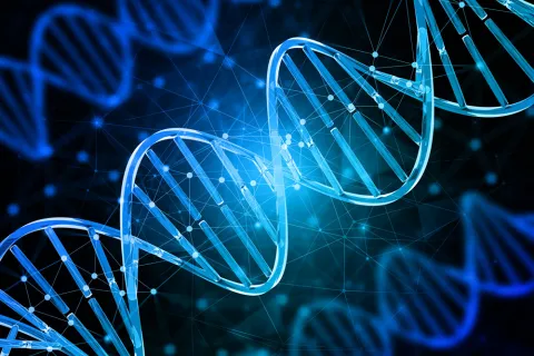 3d rendering of DNA strands