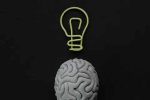 Brain illustration with a lightbulb above it