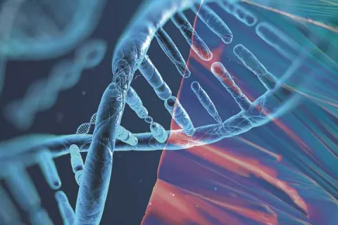 Identical twins with autism differ significantly in severity of social traits