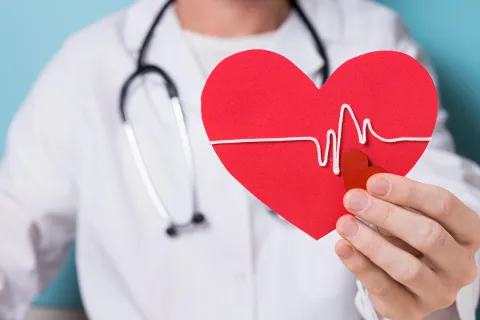 Doctor holding a paper heart