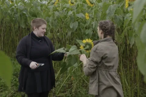 Photo of two women picking sunflowers in a field while on a date