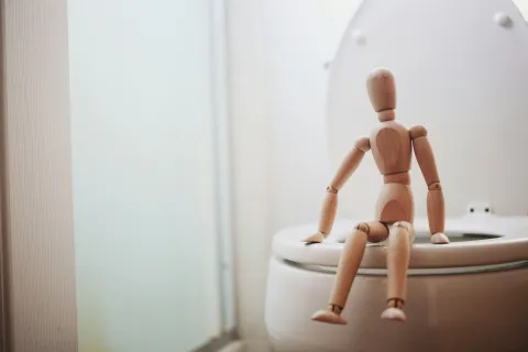 Wooden puppet sitting on a toilet to help with potty training