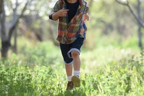 little boy in a plaid shirt running through the forest