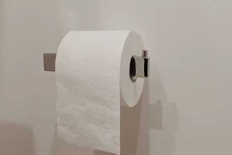 roll of toilet paper in the bathroom