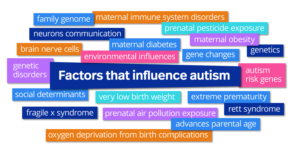 Word cloud with some of the factors that influence ASD