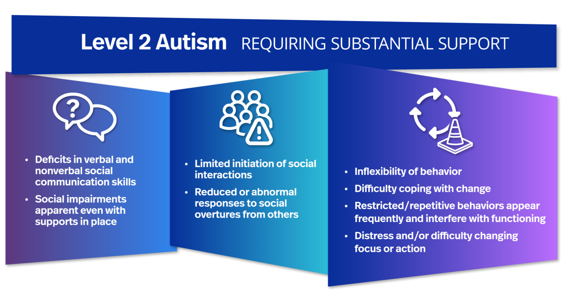 Level 2 autism infographic
