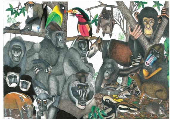 David Barth, Apes - Art, Painting