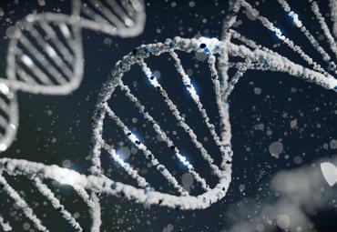 Genetic mutations associated with ASD increase risk for other co-occurring conditions