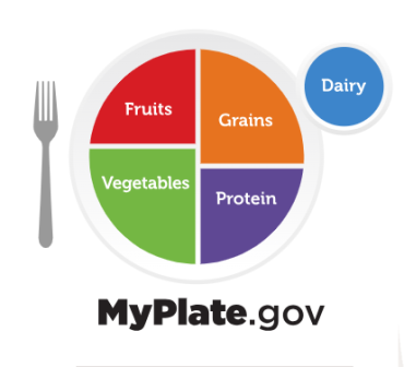 visual support for what to include in a healthy meal
