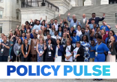 group of ~70 people standing on steps waving; white banner across the bottom with blue words of "POLICY PULSE"